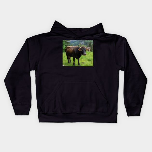 Swiss Cow 2 Kids Hoodie by photosbyalexis